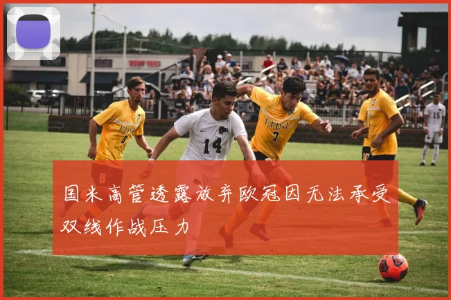 国米高管透露放弃欧冠因无法承受双线作战压力