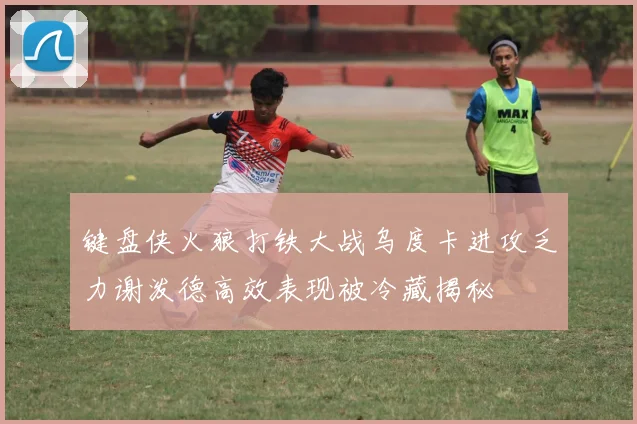 键盘侠火狼打铁大战乌度卡进攻乏力谢泼德高效表现被冷藏揭秘