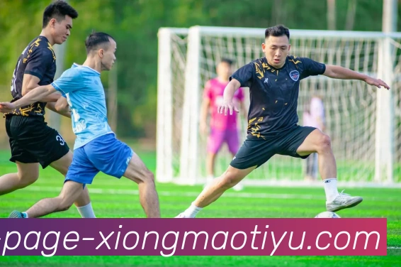 熊猫体育平台生态图