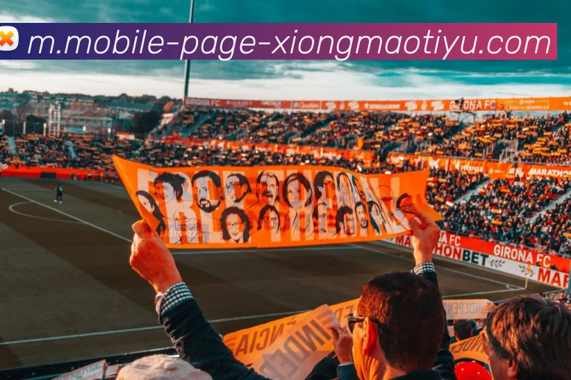 熊猫体育APP 封面图