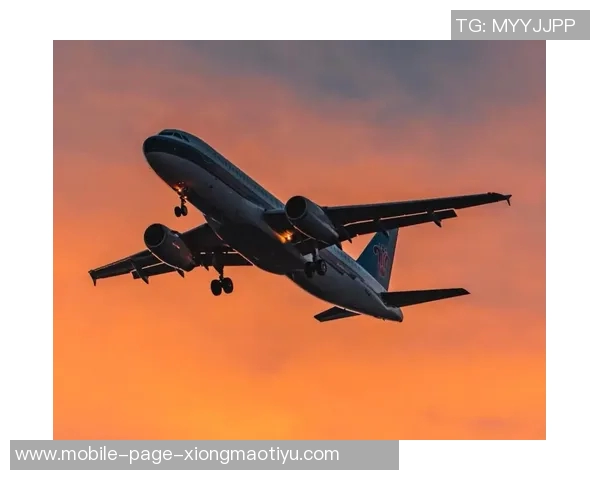 尤文图斯归途艰难机场跑道结冰导致多次航班延误